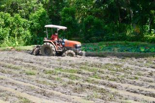 EcoBlueprint Garden - 1