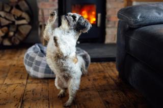 Homely Cottage - Beaches, Costal walks, Castles - 6