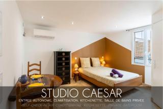 L'étape Arlésienne - 5