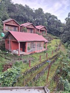 Home away from Home - 0