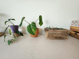 스테이슬로우힐 - 3