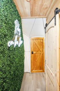 Tennessee Dome for Things to Do in Cosby - 7