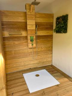 Les Trois-Ilets, colibris, jardin tropical & détente - 6