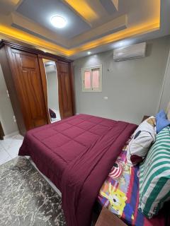 Cozy apartment by subway - 5