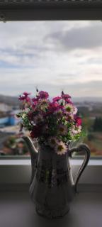 Apartman Maja 46 - 3