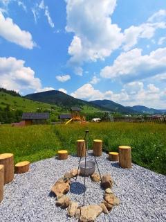 Casa Viorica -Botoș - 5