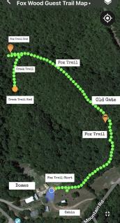 Family-Friendly Cabin with Hot Tub in the Ozark Mountains and nearby Beaver Lake, Eureka Springs - 6