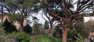 La maison du bonheur - 2