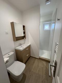 Gare Oissel - Le Paon - 7