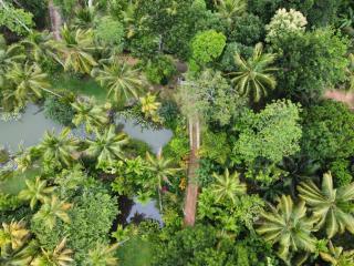 EcoBlueprint Garden - 1