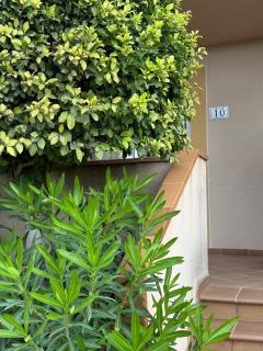 Eleganza mediterranea a Es Pujols - Espalmador10 - 0