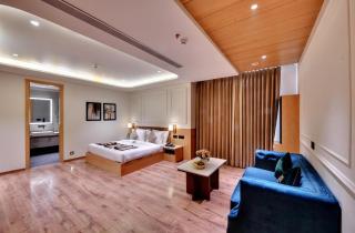 Hotel Infinity International Near Delhi Airport - 4