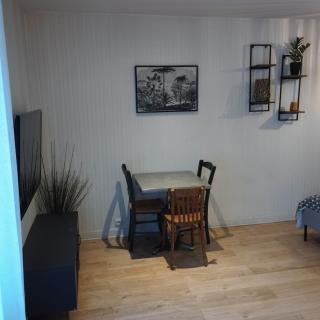 Studio Onyx fontainebleau centre insead - 4