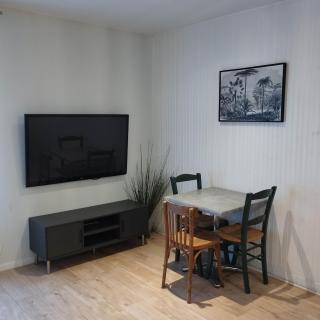 Studio Onyx fontainebleau centre insead - 6