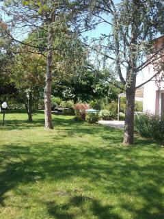 B&B Il Gelso - San Pietro in Casale - 8