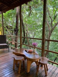 Encanto das Flores - 0