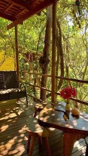 Encanto das Flores - 5