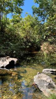 Encanto das Flores - 3