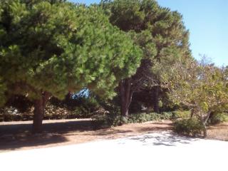 Il Mandorlo - Platamona - 7