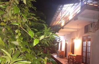 Jungle guest ,Mirissa - 6