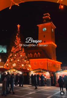 Tiny Studio Brasov - 9