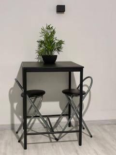 Appartement Bron proche eurexpo et hôpitaux - Bron - 1