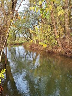 Eichsfeld FeWo-Sunny im Rhumetal - 4