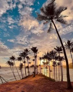 Jungle guest ,Mirissa - 8