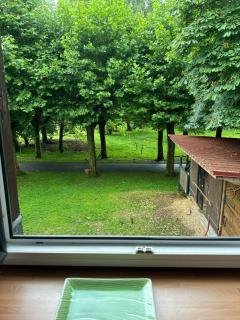 LE PARC DU VIVIER - 4