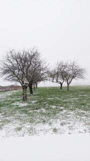 L'Orée des Champs - 4