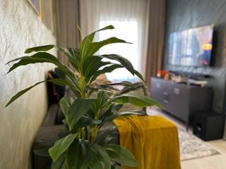 Indulge in Elegance & Comfort - 6