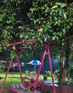 Barhoitoka Homestay - 3