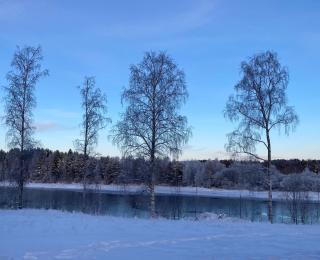 Arctic River View - 1