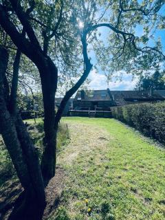 Nature, chaleur, calme et confort au coeur des Ardennes belges - 3