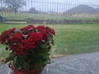 Villa Nikol Apt #2 - Raduil - 8