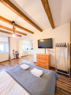 Apartament Jurajski parking 8 minut od alei - 4