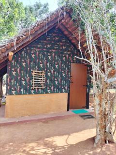 Yala Wild Adventure Camp - 7