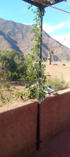 La Maison Mondiale - 1