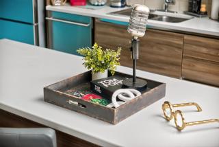 Luxury Music Flat - Gym, Pool, Free Valet, DT Dallas, Game & Movie Rooms - 7