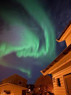 Lovely central apartment with free parking - 7