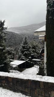 Casa en Planoles - 6