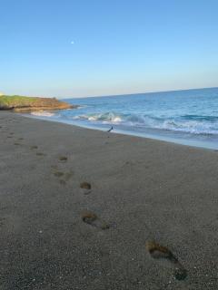 Luxury Oceanfront Condo - 3