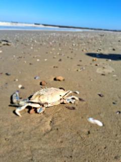 Casa de descanso El Colibri - 9