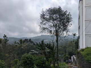 Haze Munnar Homestay - 0