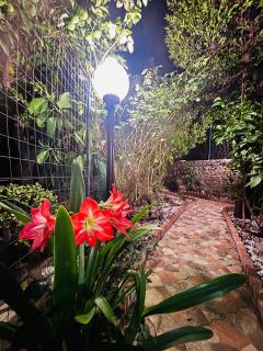 Casa Vacanze "Il Giardino" - 4