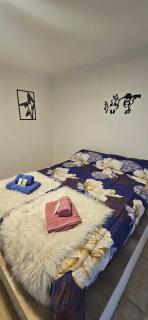 Bolsón Departamento céntrico - 9