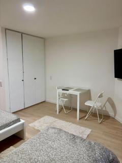 Charmantes Einzimmer Apartment in Kehl - 5