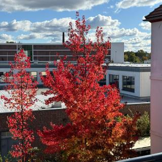 Kungs Ferienwohnung 2 - 5