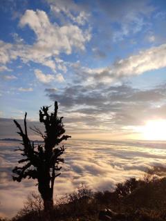 Nhà nghỉ Hoàng Gia - 2