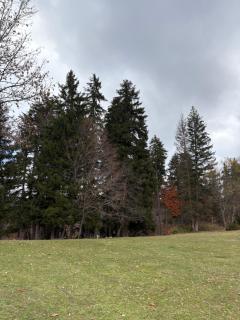 Studio Apartment N86 at X2 - Bakuriani - 6